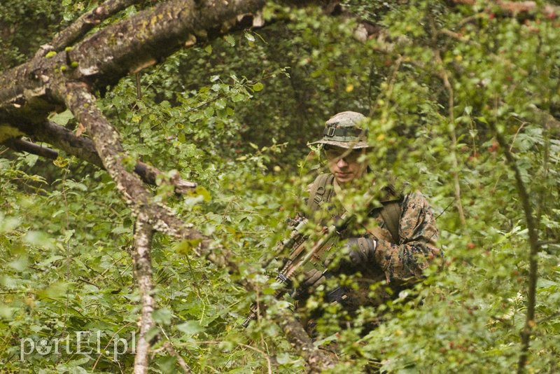 Wymiana ognia w elbląskim lesie zdjęcie nr 113925