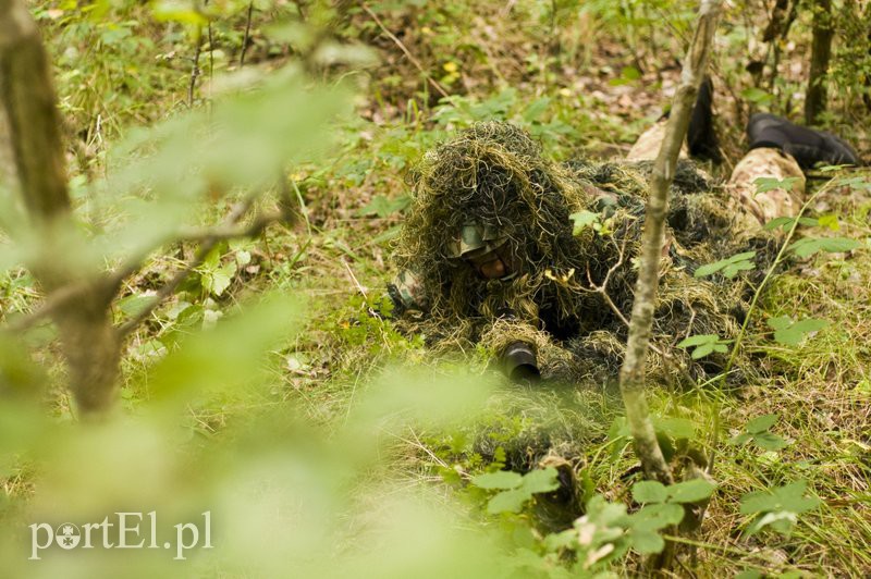 Wymiana ognia w elbląskim lesie zdjęcie nr 113917