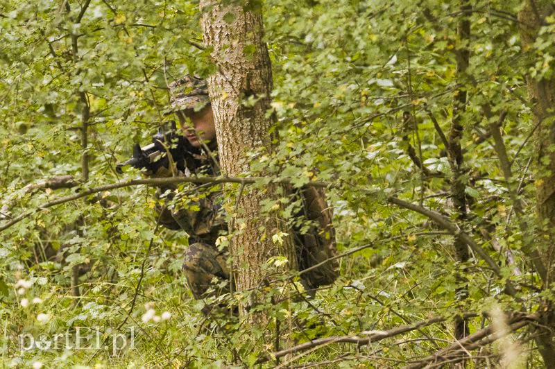 Wymiana ognia w elbląskim lesie zdjęcie nr 113923