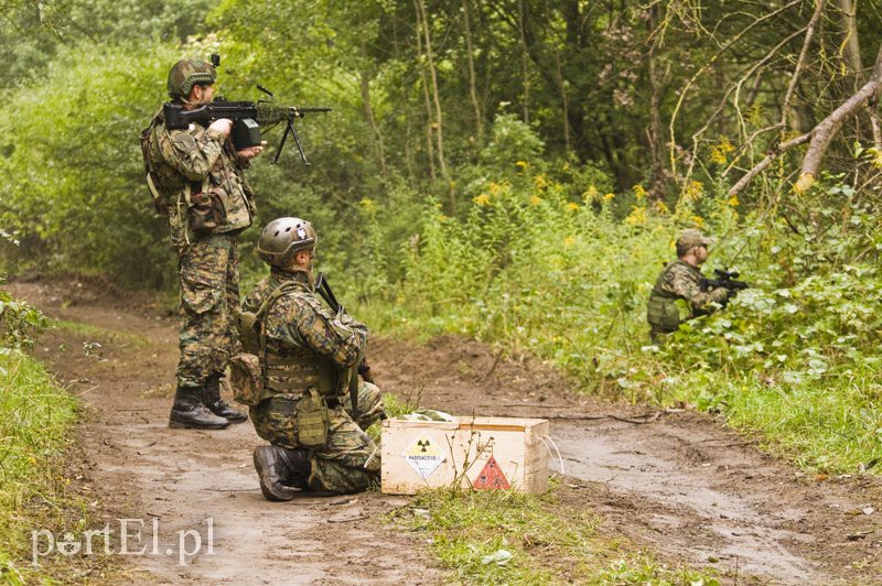 Wymiana ognia w elbląskim lesie zdjęcie nr 113928