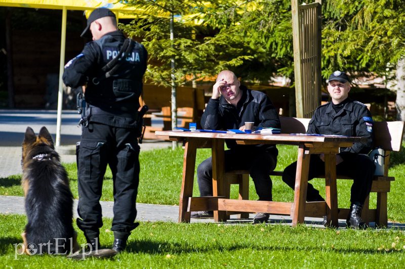 Funkcjonariusze na czterech łapach pokazali, co potrafią zdjęcie nr 114591