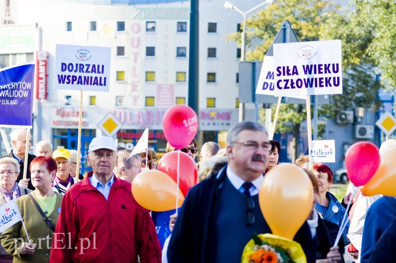 Niech szare życie odejdzie w cień! zdjęcie nr 114728