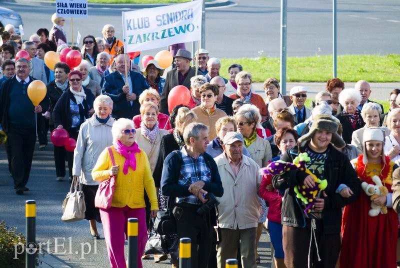 Niech szare życie odejdzie w cień! zdjęcie nr 114717