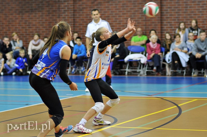 Orzeł znów zwyciężył zdjęcie nr 115648