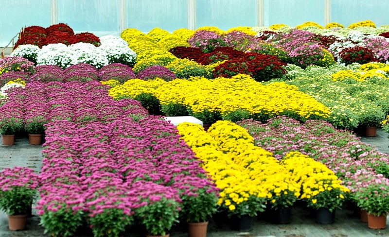 Warto o nich pamiętać zdjęcie nr 116043