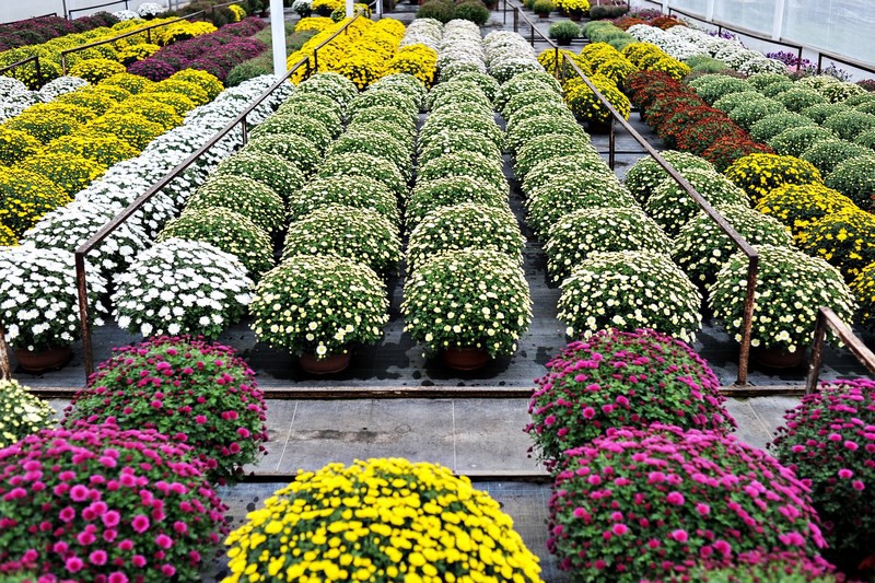 Warto o nich pamiętać zdjęcie nr 116053