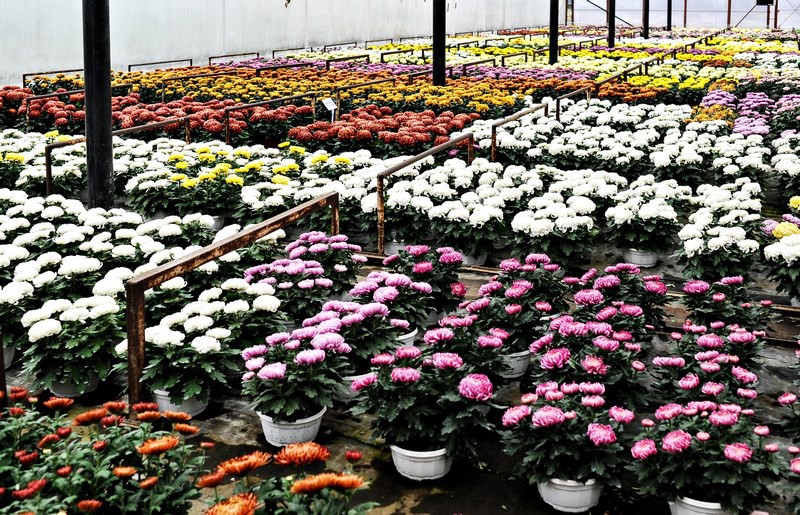 Warto o nich pamiętać zdjęcie nr 116034