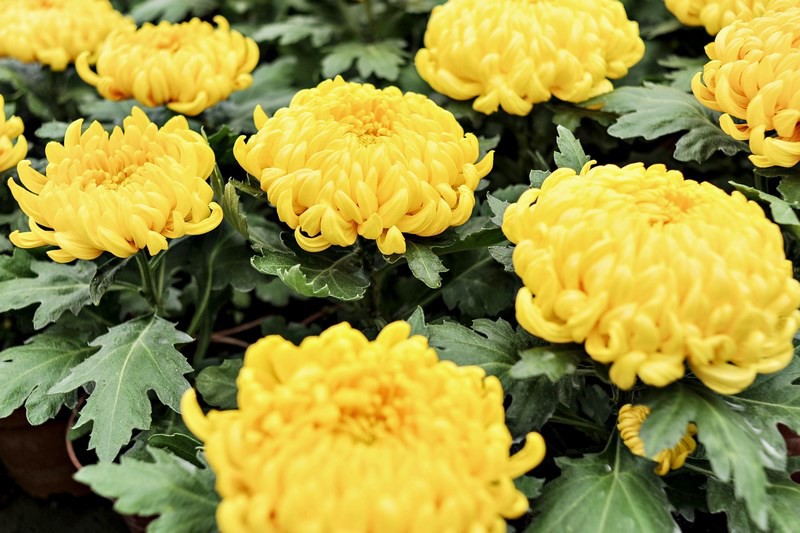 Warto o nich pamiętać zdjęcie nr 116032