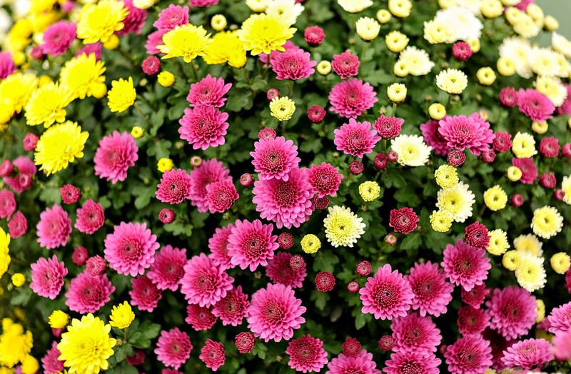 Warto o nich pamiętać zdjęcie nr 116041