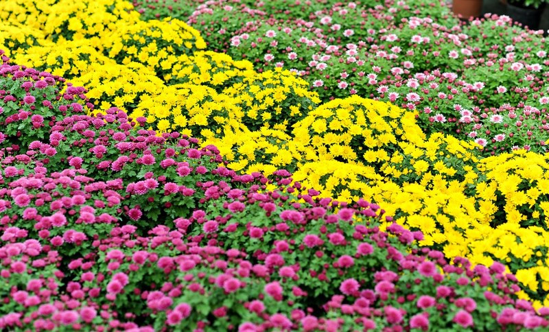 Warto o nich pamiętać zdjęcie nr 116044