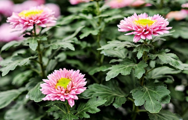 Warto o nich pamiętać zdjęcie nr 116037