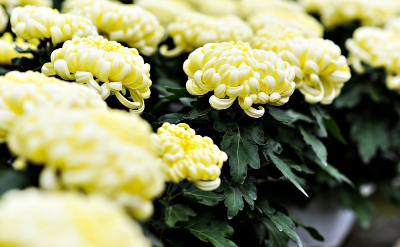 Warto o nich pamiętać zdjęcie nr 116038