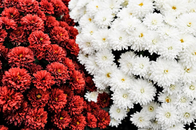 Warto o nich pamiętać zdjęcie nr 116051