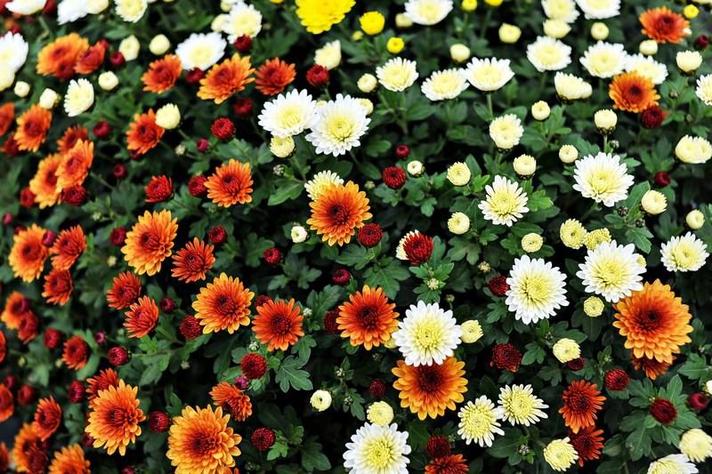 Warto o nich pamiętać zdjęcie nr 116052