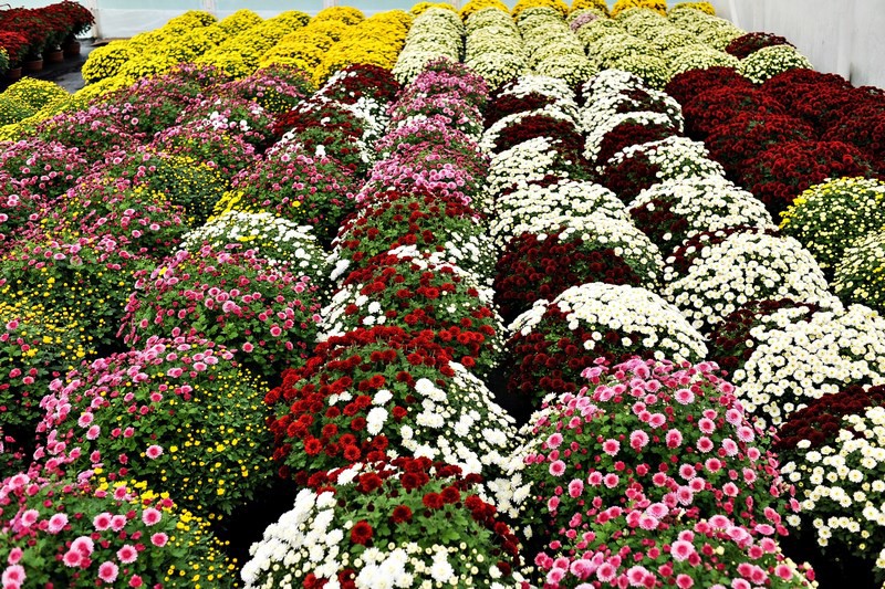 Warto o nich pamiętać zdjęcie nr 116048