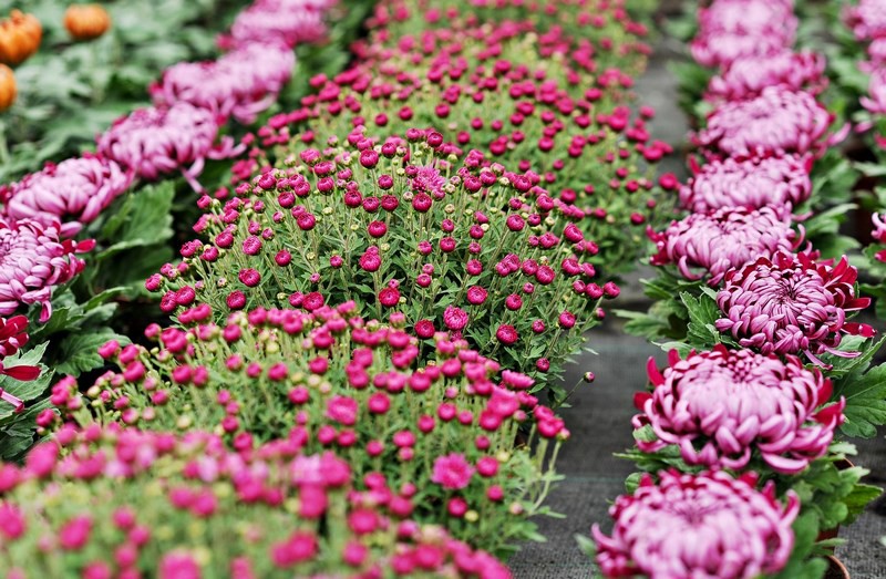 Warto o nich pamiętać zdjęcie nr 116050