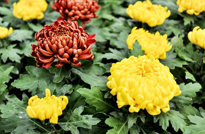 Warto o nich pamiętać zdjęcie nr 116033