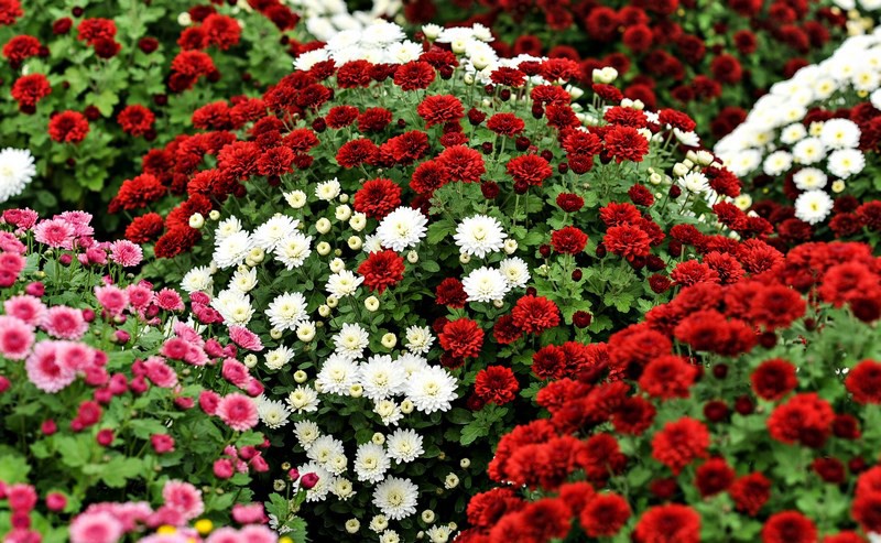 Warto o nich pamiętać zdjęcie nr 116047