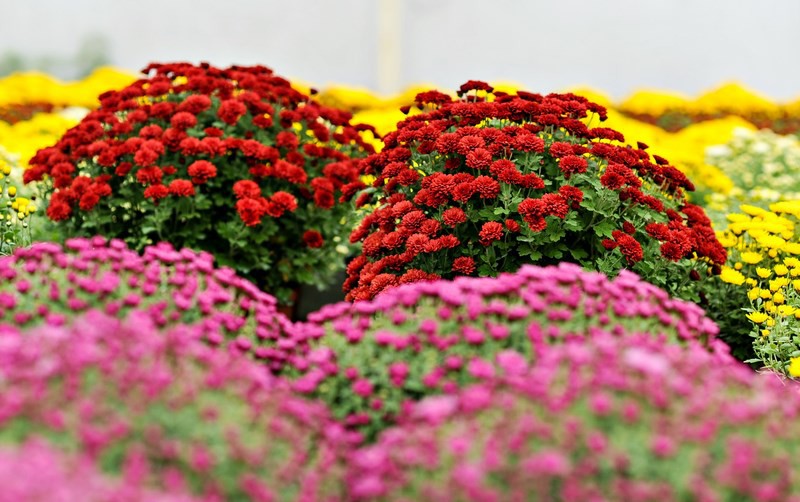 Warto o nich pamiętać zdjęcie nr 116046