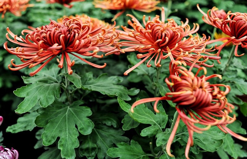 Warto o nich pamiętać zdjęcie nr 116042