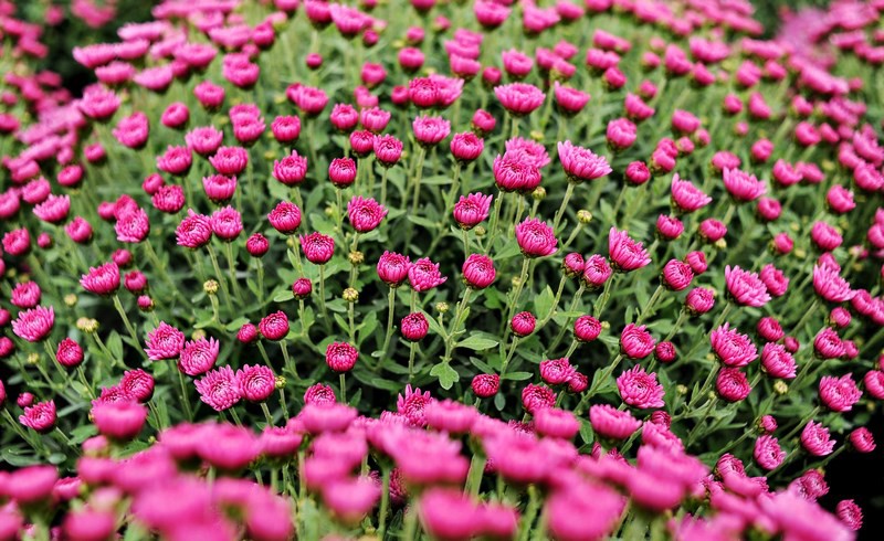 Warto o nich pamiętać zdjęcie nr 116049