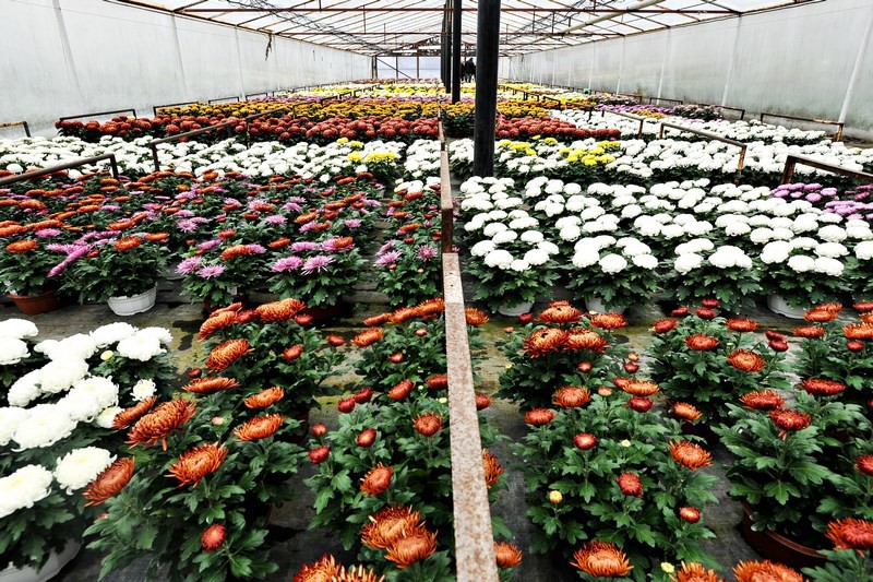 Warto o nich pamiętać zdjęcie nr 116035