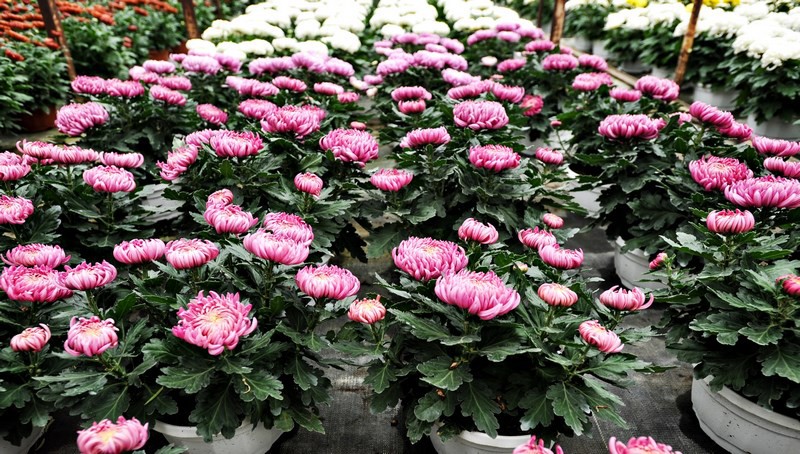 Warto o nich pamiętać zdjęcie nr 116036