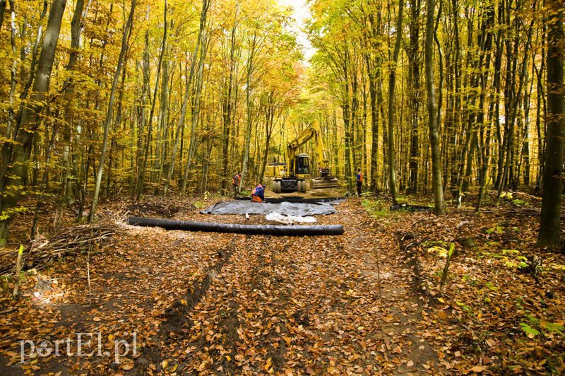 Ażurowy szlak dla rowerzystów zdjęcie nr 116222