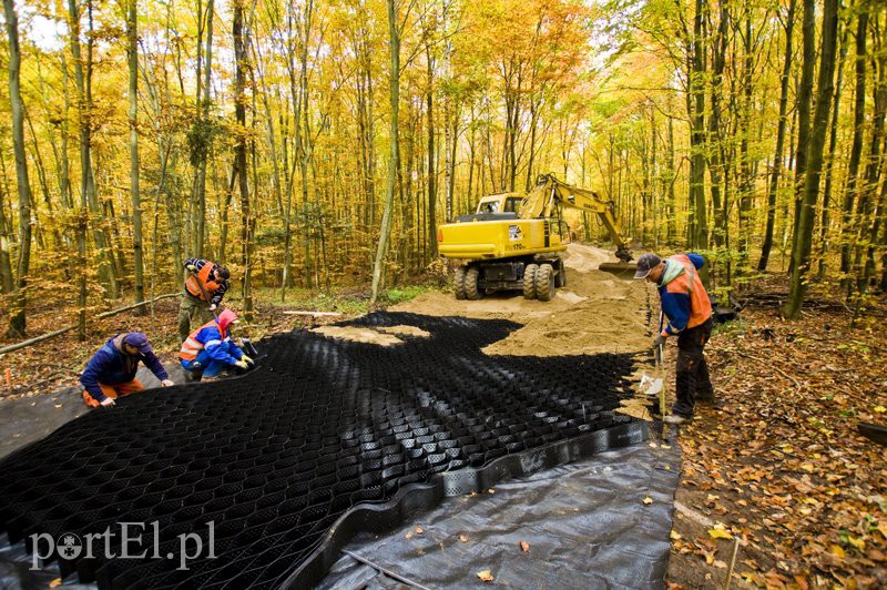 Ażurowy szlak dla rowerzystów zdjęcie nr 116223