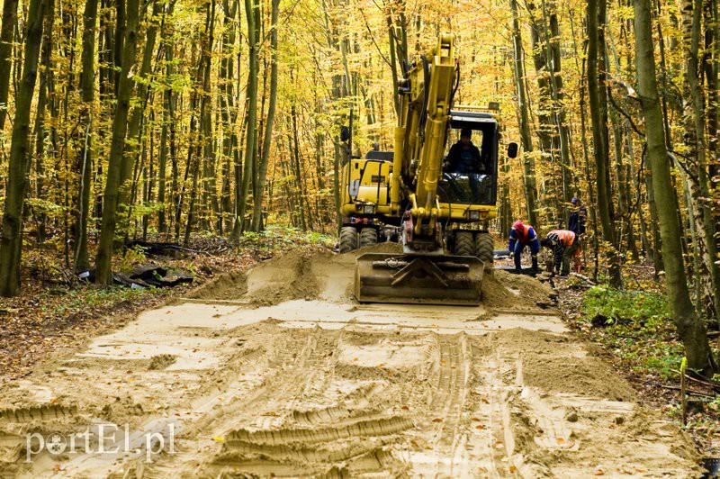 Ażurowy szlak dla rowerzystów zdjęcie nr 116228