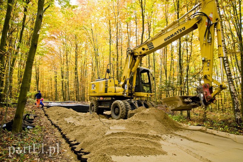 Ażurowy szlak dla rowerzystów zdjęcie nr 116225
