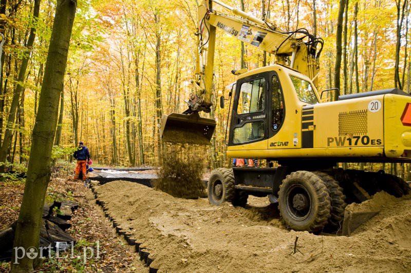Ażurowy szlak dla rowerzystów zdjęcie nr 116226