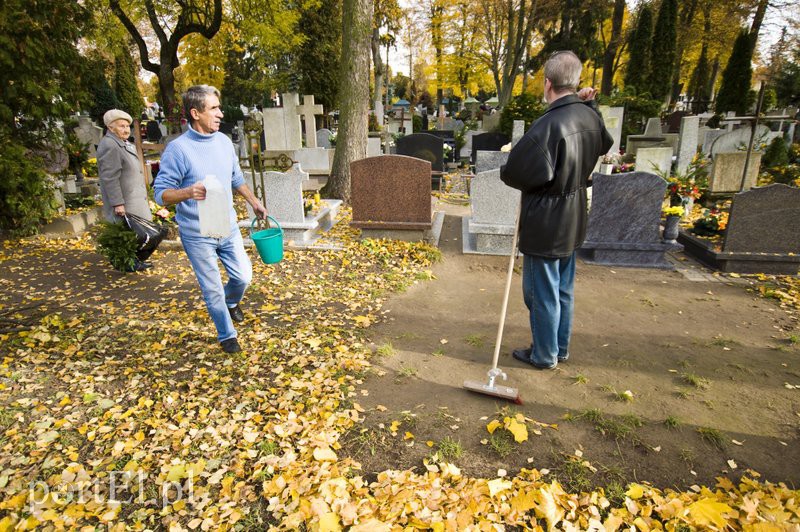 Przygotowania do Wszystkich Świętych zdjęcie nr 116299