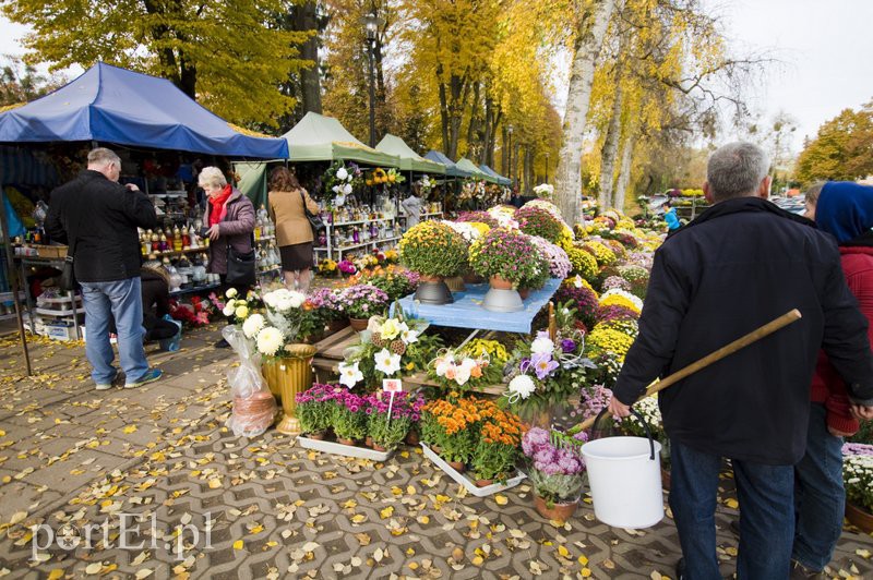Przygotowania do Wszystkich Świętych zdjęcie nr 116293