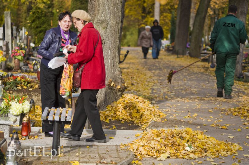 Przygotowania do Wszystkich Świętych zdjęcie nr 116296
