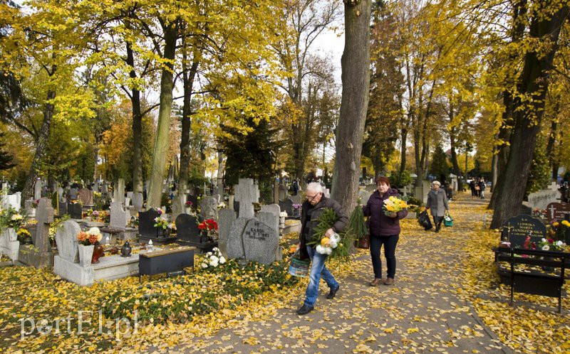 Przygotowania do Wszystkich Świętych zdjęcie nr 116298