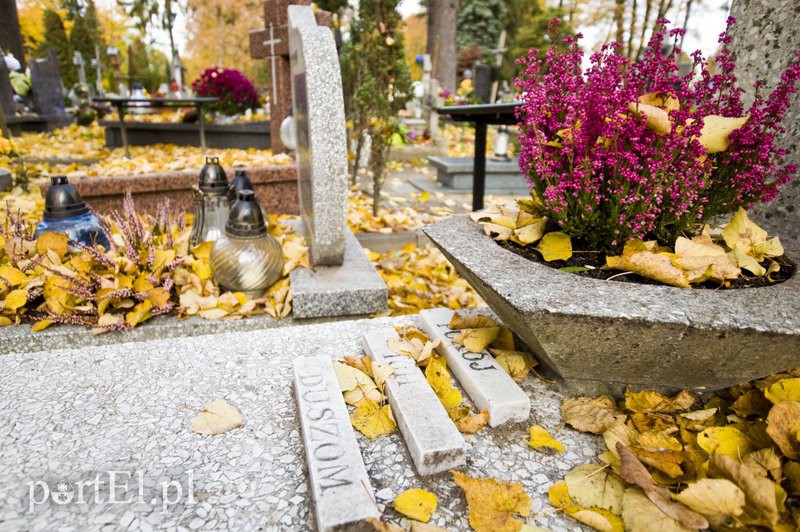 Przygotowania do Wszystkich Świętych zdjęcie nr 116306