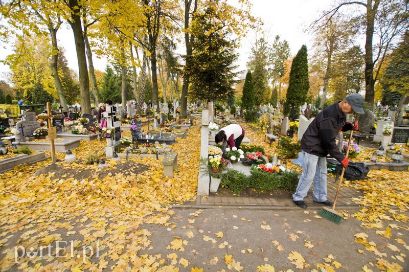 Przygotowania do Wszystkich Świętych zdjęcie nr 116305