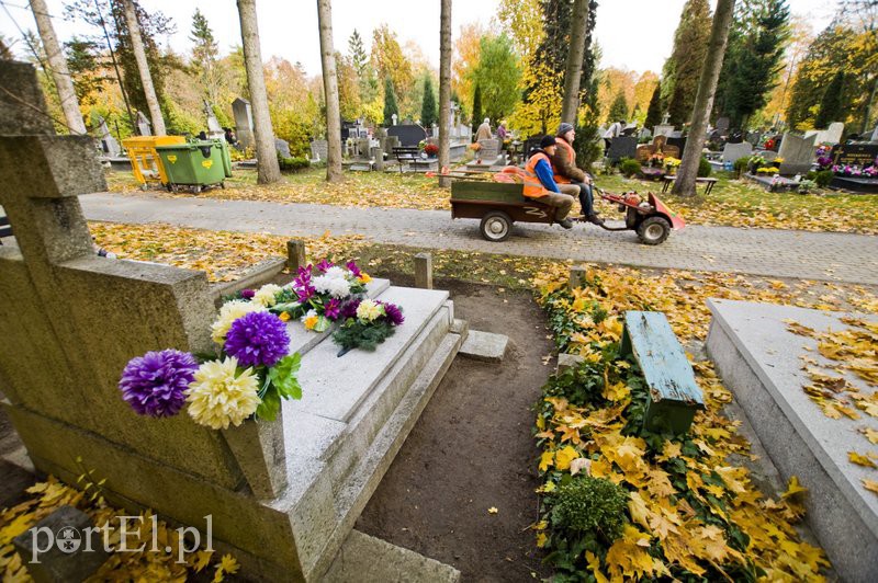 Przygotowania do Wszystkich Świętych zdjęcie nr 116303