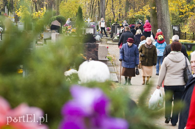 Święto Wszystkich Świętych  zdjęcie nr 116420