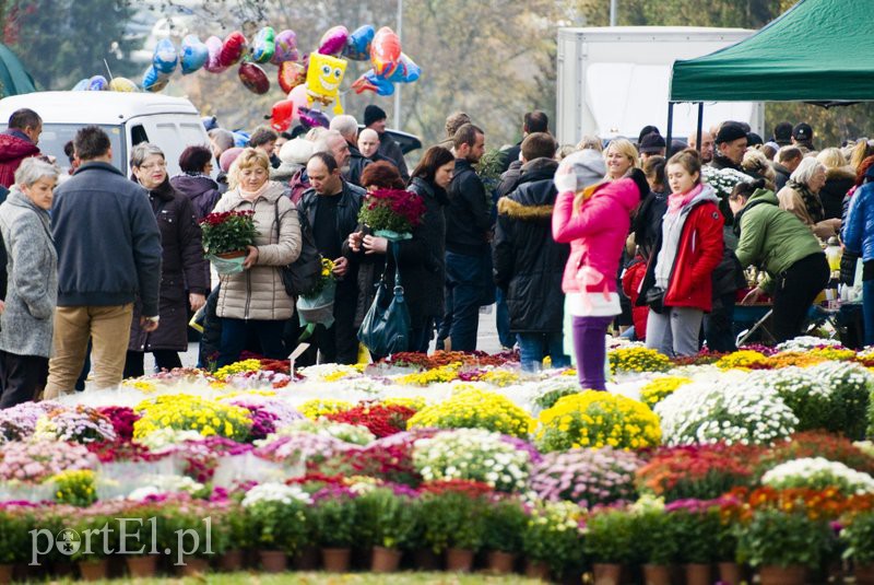 Święto Wszystkich Świętych  zdjęcie nr 116412
