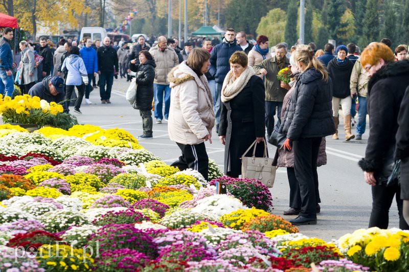 Święto Wszystkich Świętych  zdjęcie nr 116415