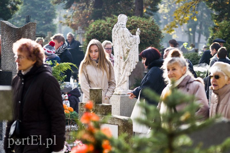 Święto Wszystkich Świętych  zdjęcie nr 116445