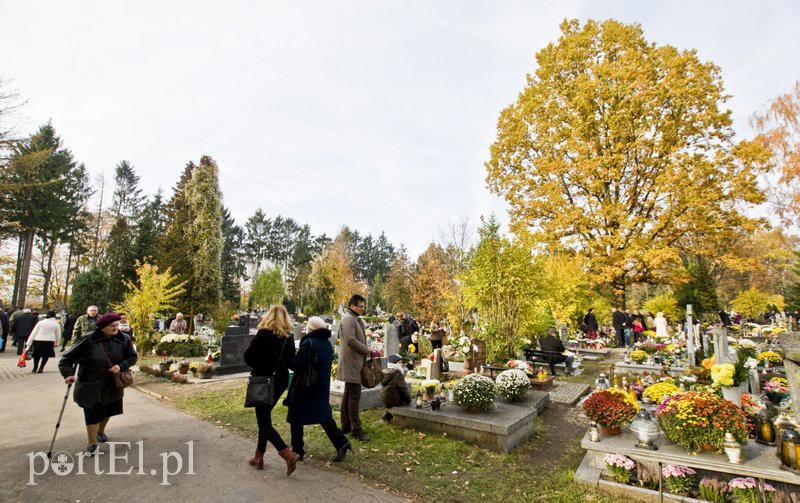 Święto Wszystkich Świętych  zdjęcie nr 116441
