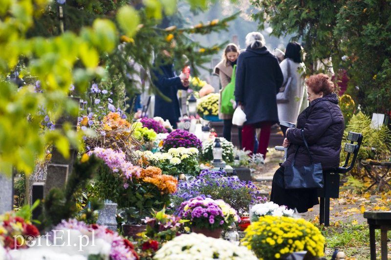 Święto Wszystkich Świętych  zdjęcie nr 116421