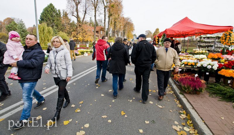 Święto Wszystkich Świętych  zdjęcie nr 116413