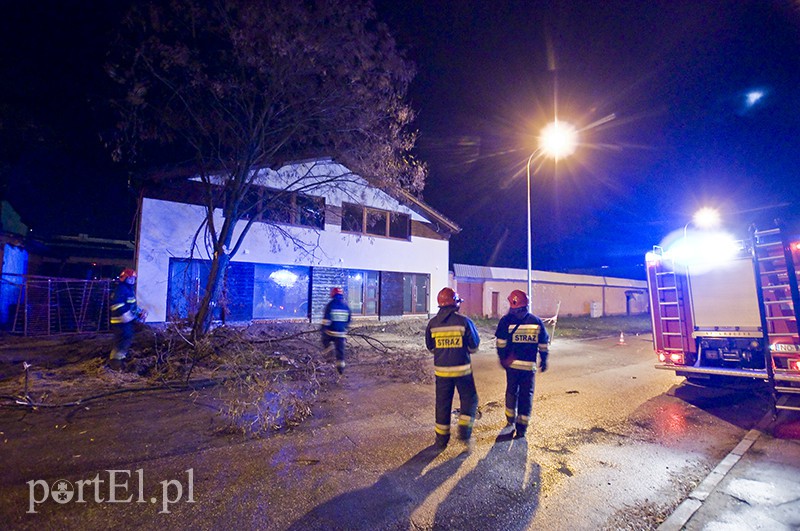 Elbląg  Mocno wieje, uwaga na drzewa