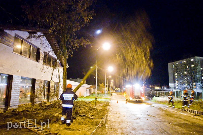  Mocno wieje, uwaga na drzewa zdjęcie nr 117171