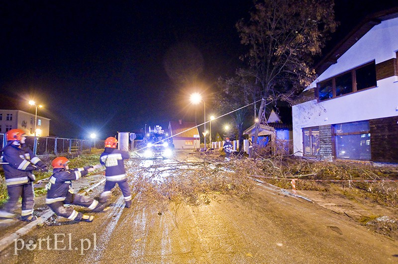  Mocno wieje, uwaga na drzewa zdjęcie nr 117174