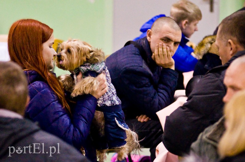  Uchodźcy z Ukrainy już na polskiej ziemi zdjęcie nr 117447